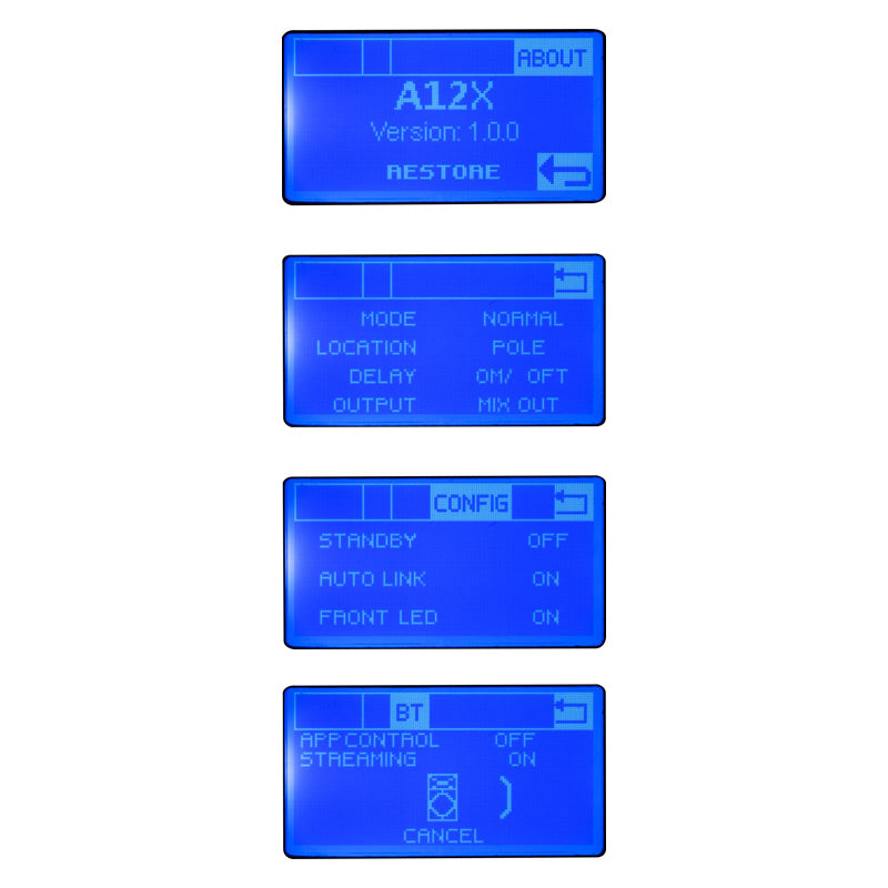 A12X